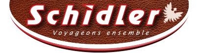 logo shidler